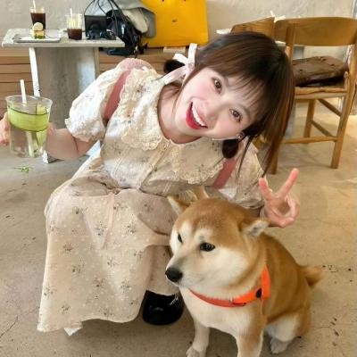 春日苦短少年恋爱吧。
